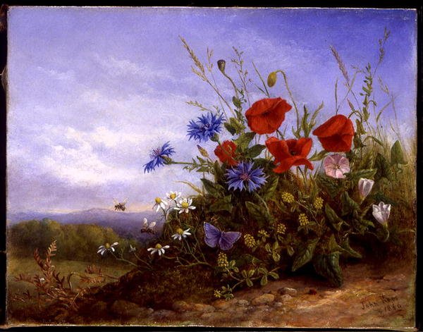 Vilde Blomster på en Bank af John Rees