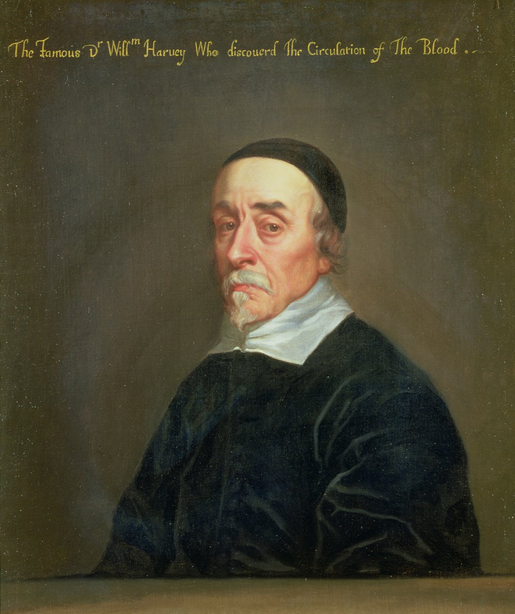 Portræt af William Harvey (1578-1657) af John Riley