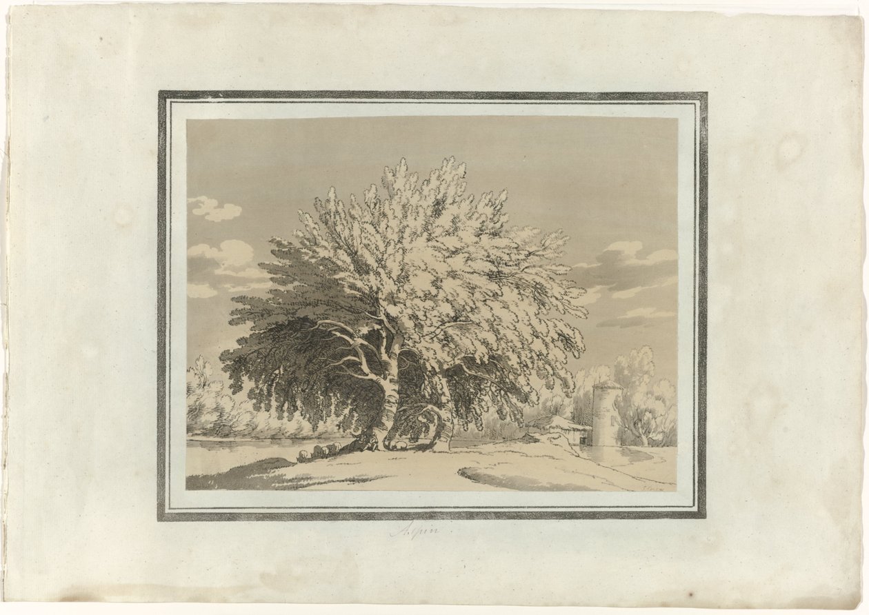 Aspen af John Robert Cozens