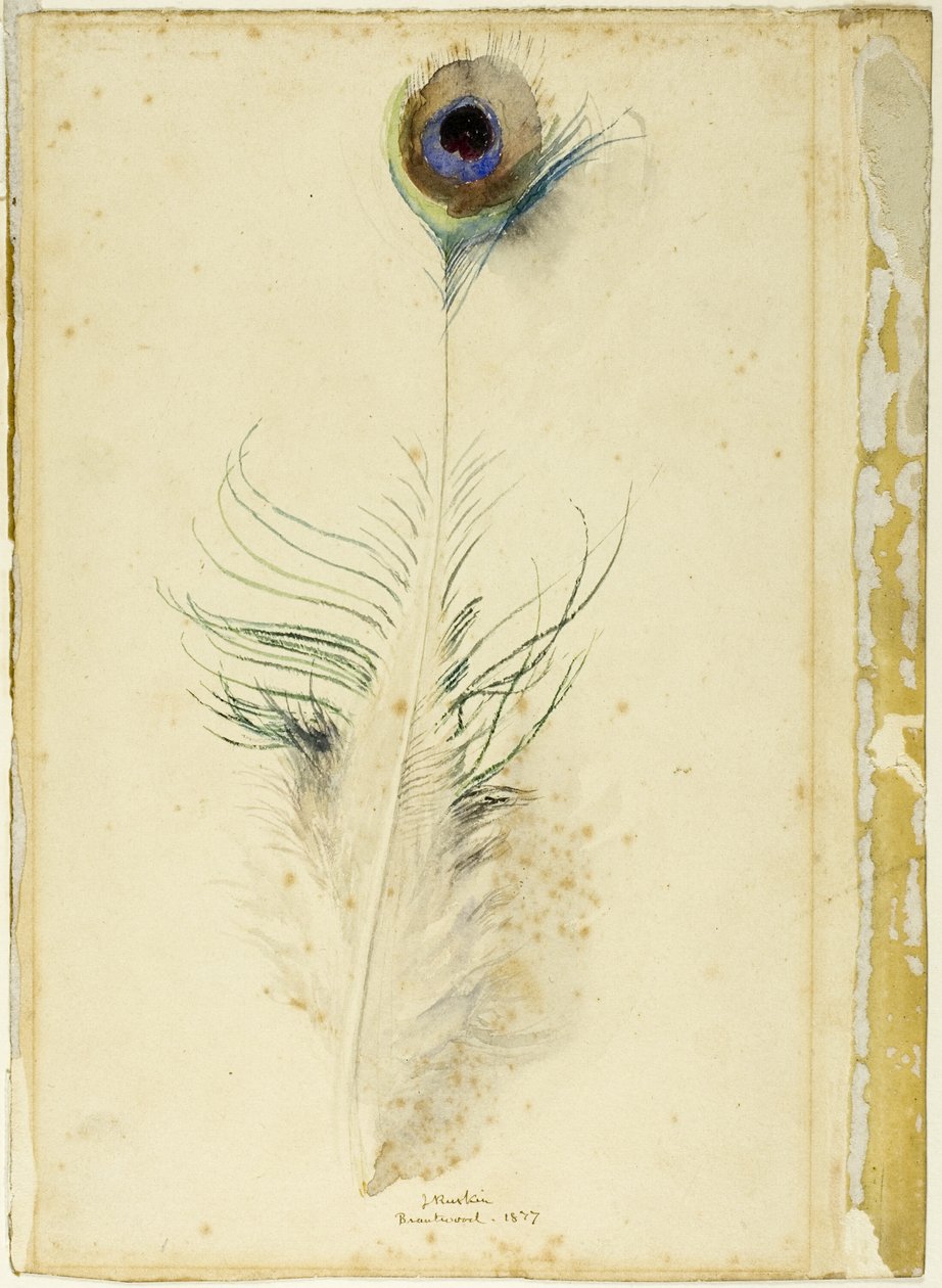 Påfuglefjer af John Ruskin