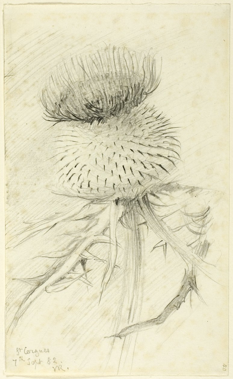 St. Cergues af John Ruskin