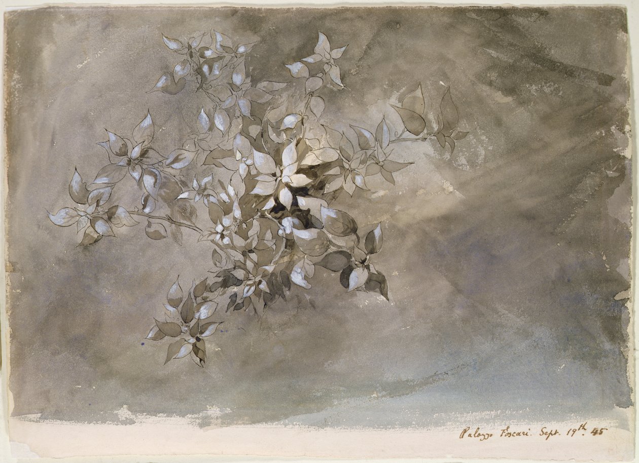 Undersøgelse af løv af John Ruskin