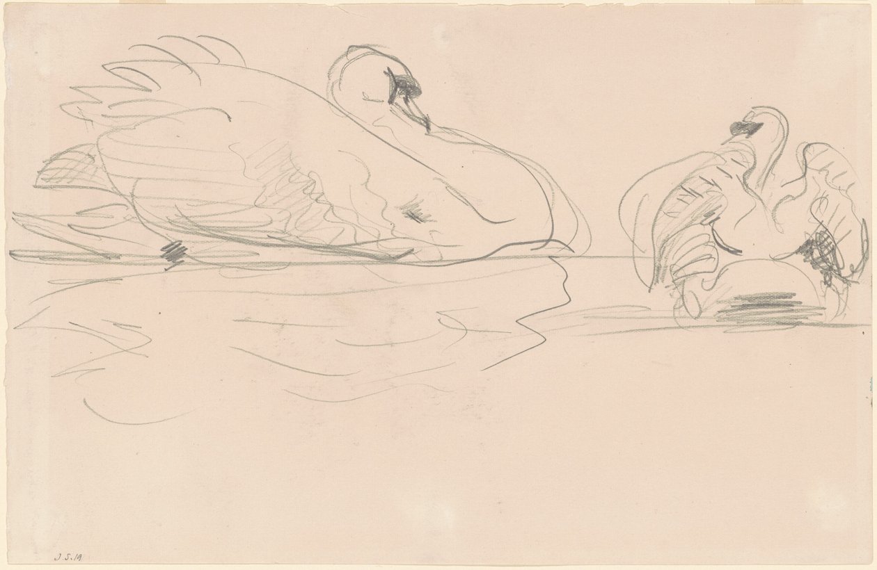 Svaner i vandet, 1880-1900. af John Singer Sargent