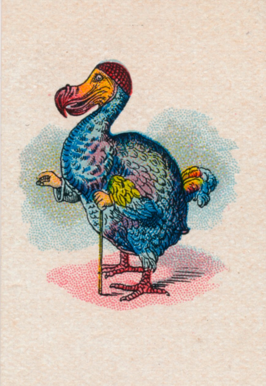 The Dodo, 1930 af John Tenniel