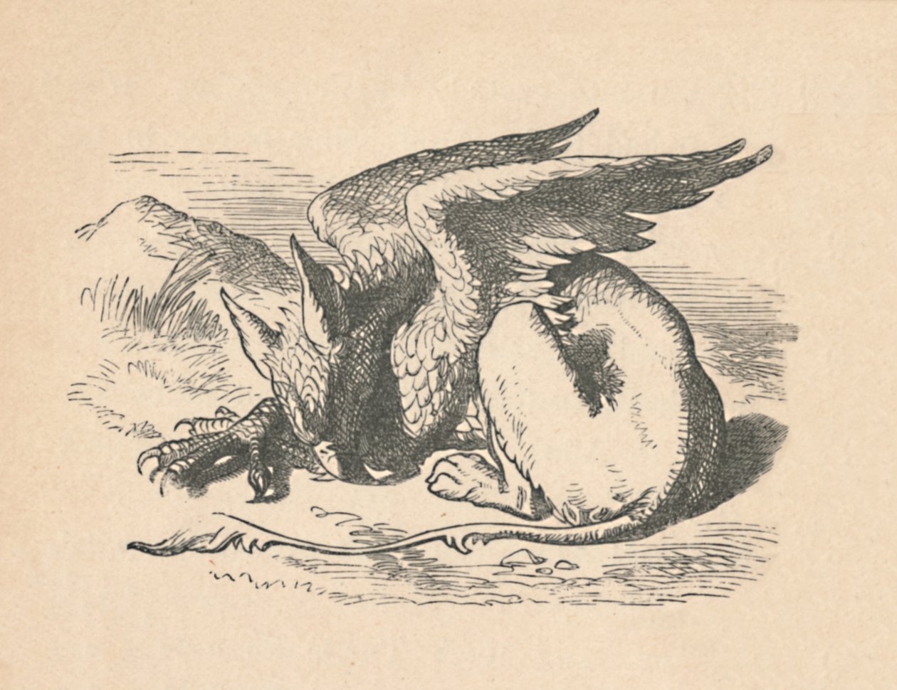 The Gryphon sovende i solen, 1889 af John Tenniel