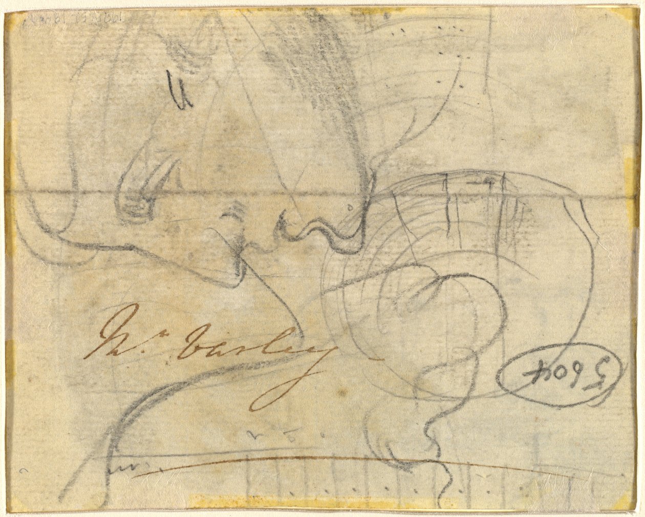 Studie af et hoved i profil [verso] af John Varley