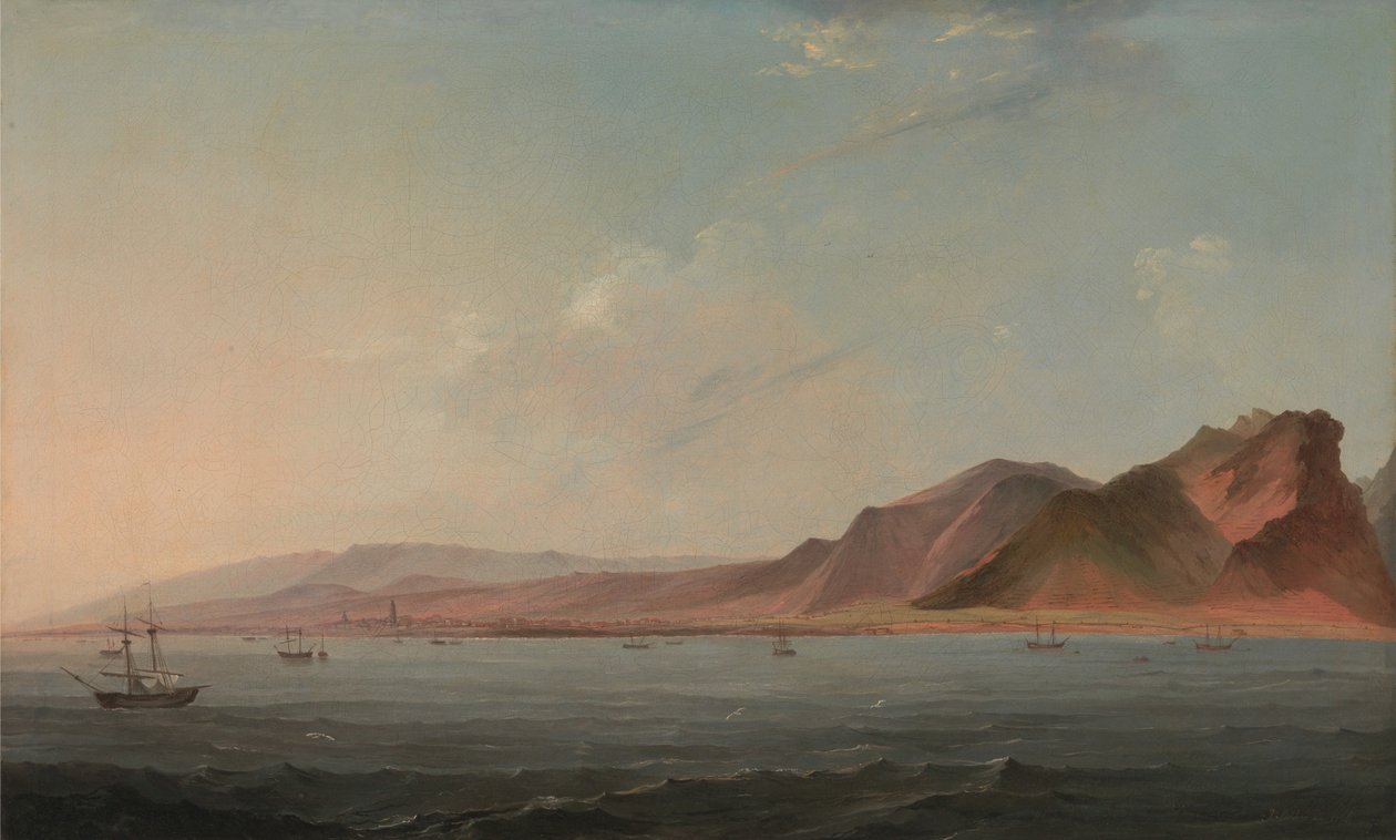 Udsigt over Santa Cruz, Tenerife af John Webber