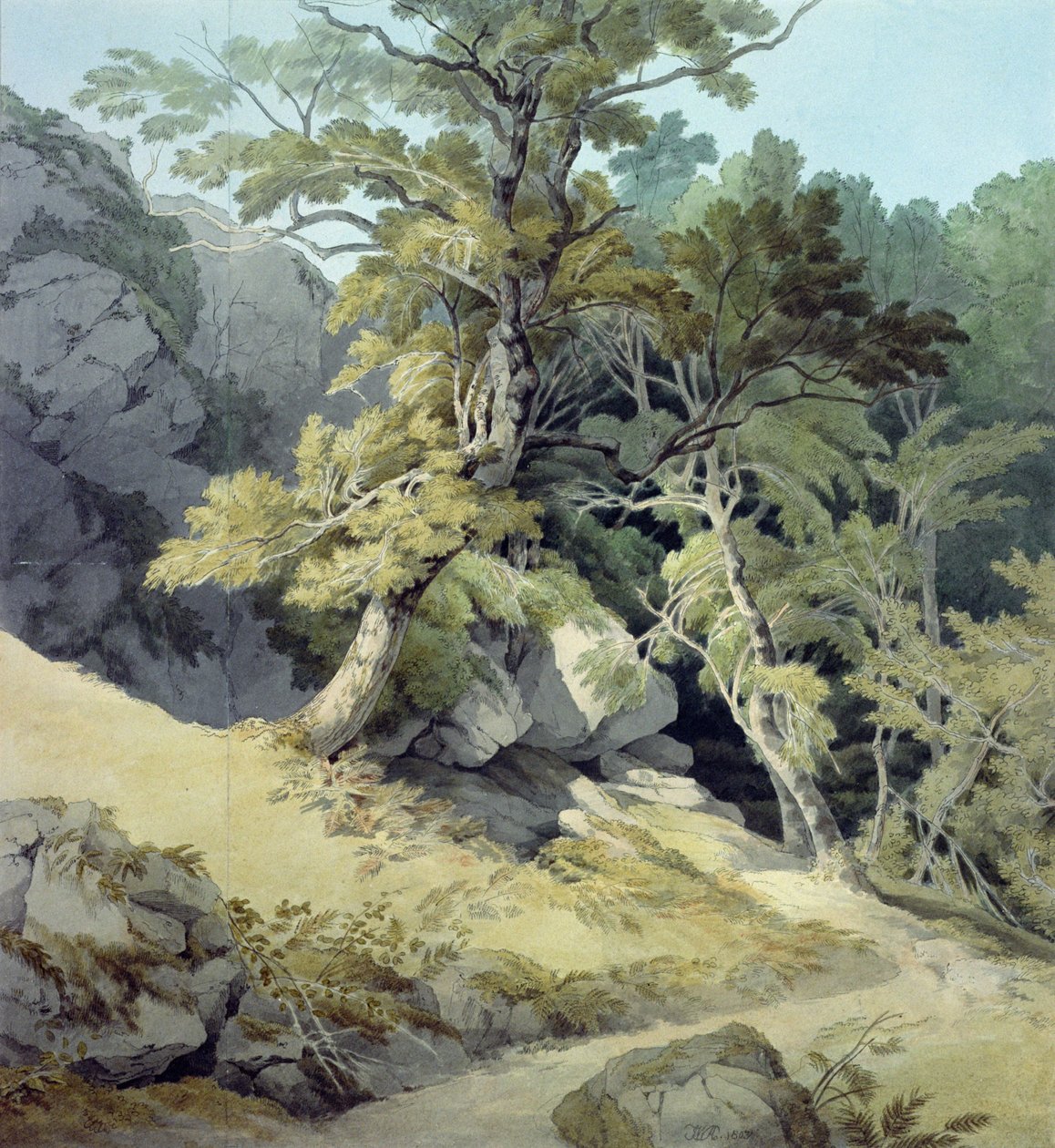 Canonteign, Devon af John White Abbott