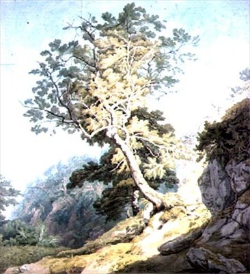 Se i nærheden af Canonteign, Devon af John White Abbott