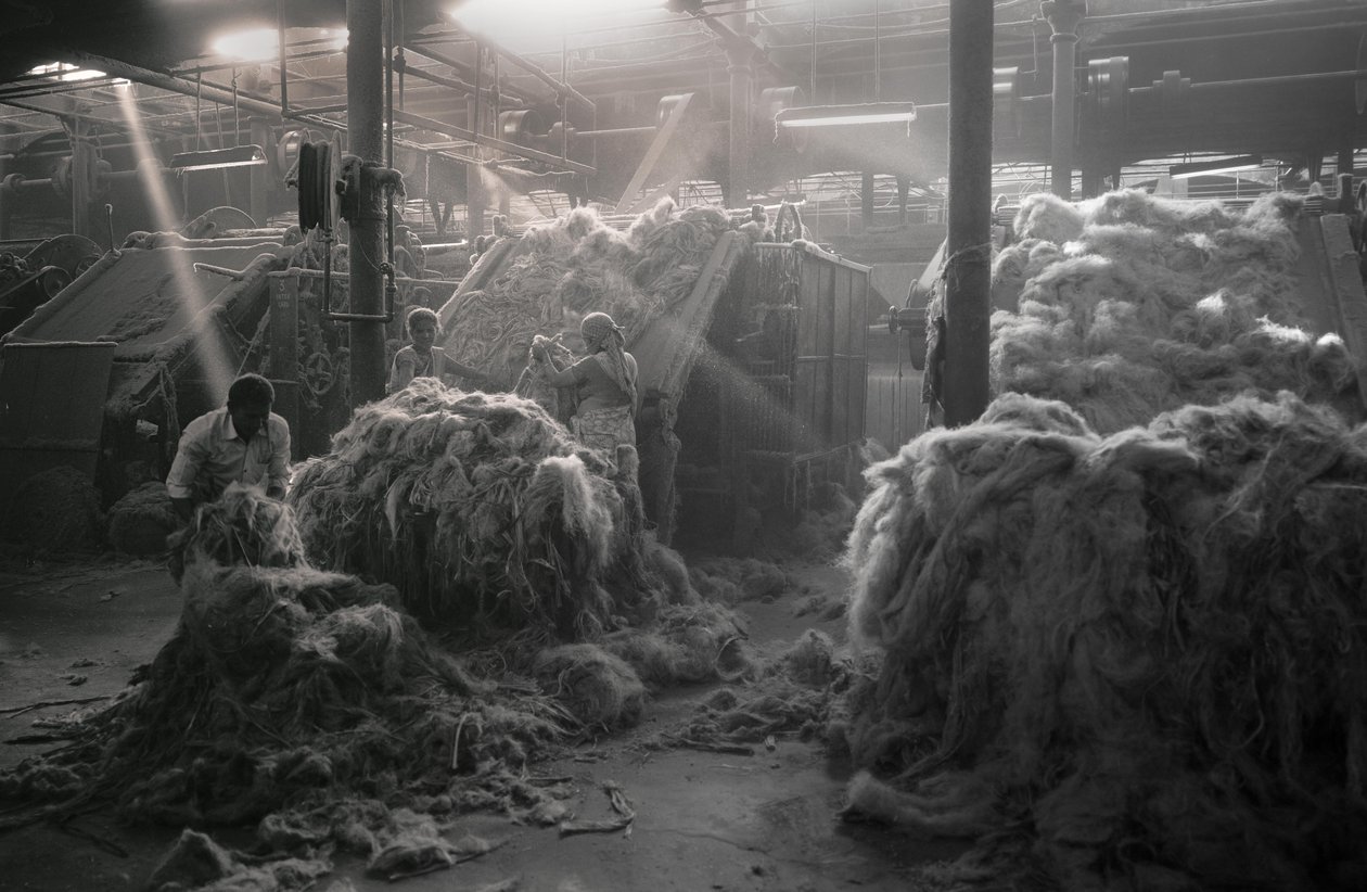 Jutefabrik, Kolkata, Indien, 2017 (foto) af Jon Nicholson