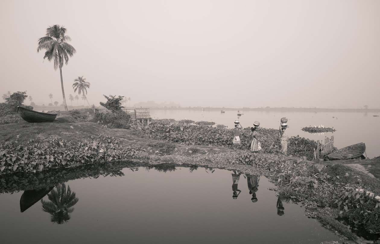 Fiskeri i vådområder i Kolkata, 2016 (foto) af Jon Nicholson