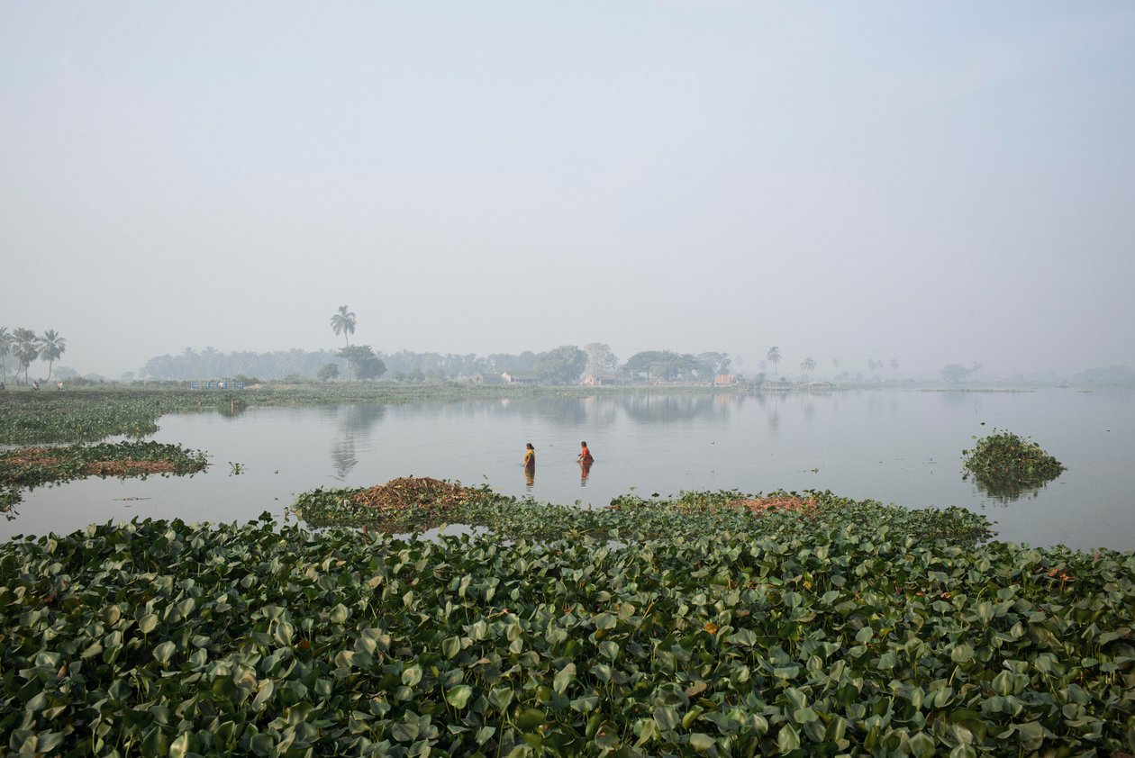 Fiskeri i vådområder i Kolkata, 2016 (foto) af Jon Nicholson