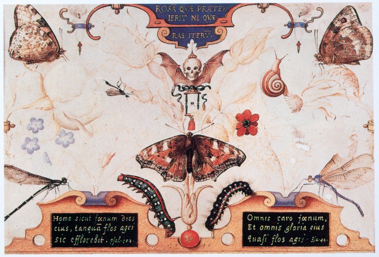 Diptykon med blomster og insekter, 1591. af Joris Hoefnagel