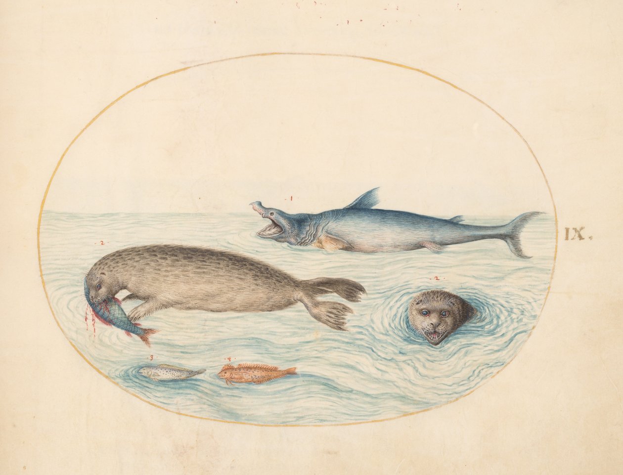 Marine væsner, ca. 1575-80 af Joris Hoefnagel