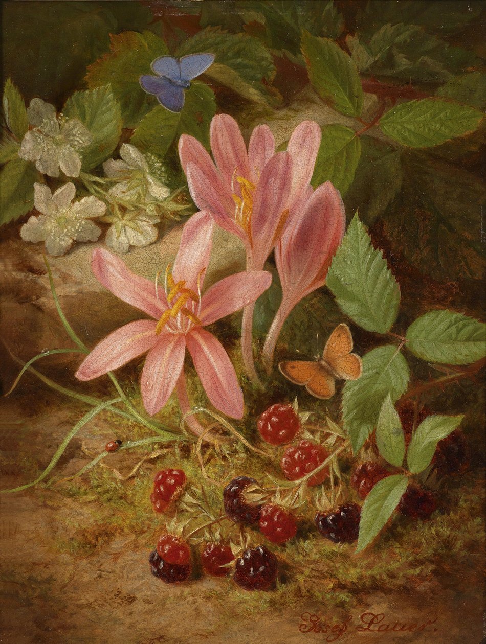 Efterårsblomst med brombær af Josef Lauer