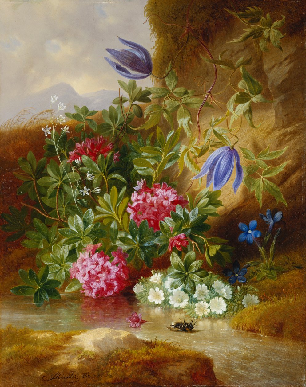 Alpenblum, af Josef Schuster