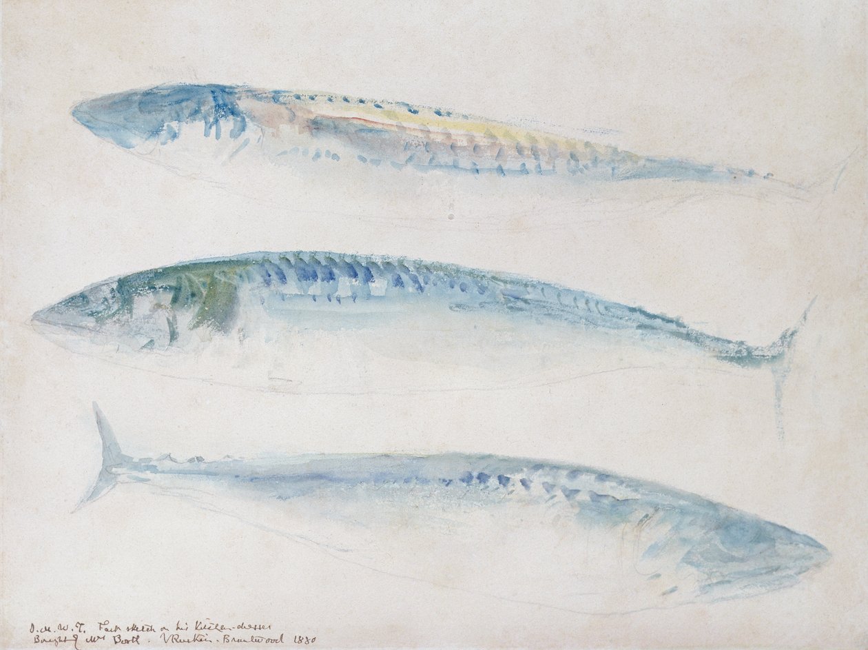 En skitse af tre makrel (wc og blyant på papir) af Joseph Mallord William Turner