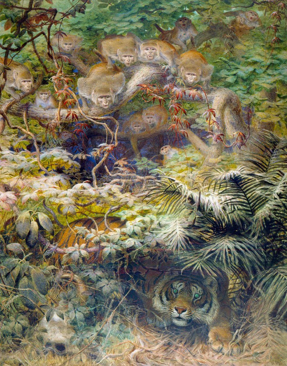 Række i junglen, 1863 af Joseph Wolf