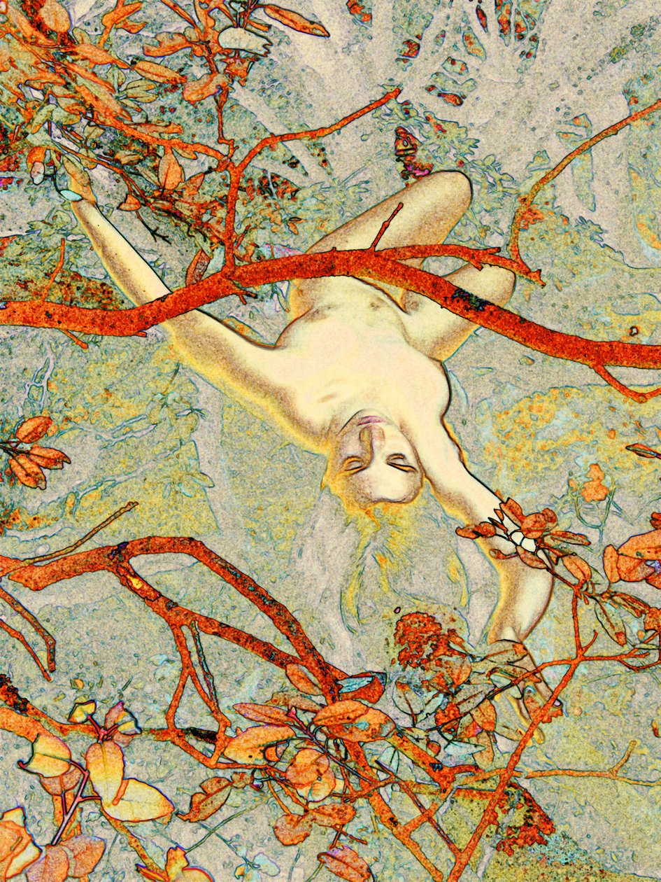 Alice i Cévennes 2 af Joseph Angilella Auquier