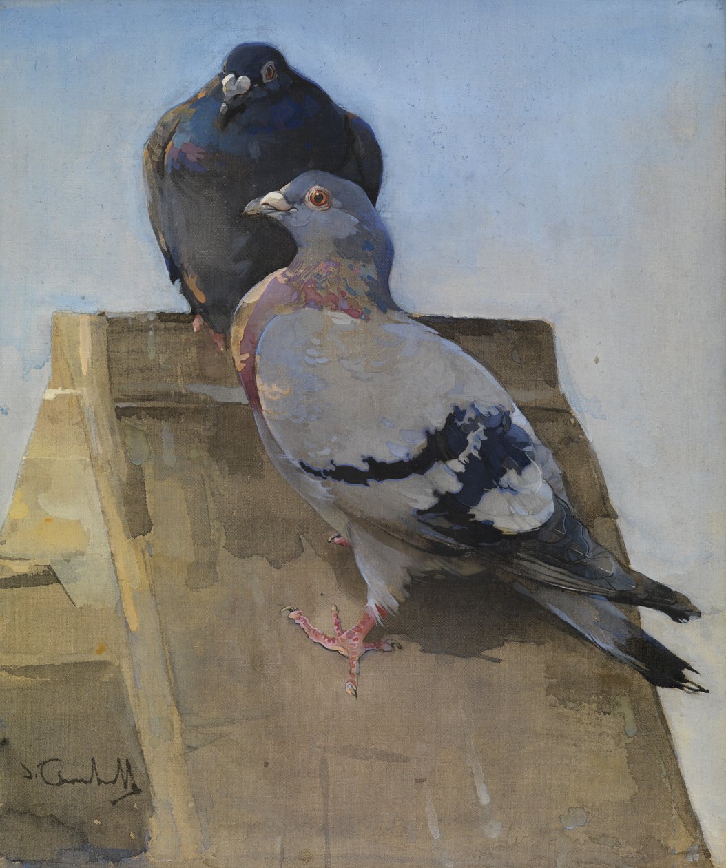 Duer på taget (gouache på linned) af Joseph Crawhall