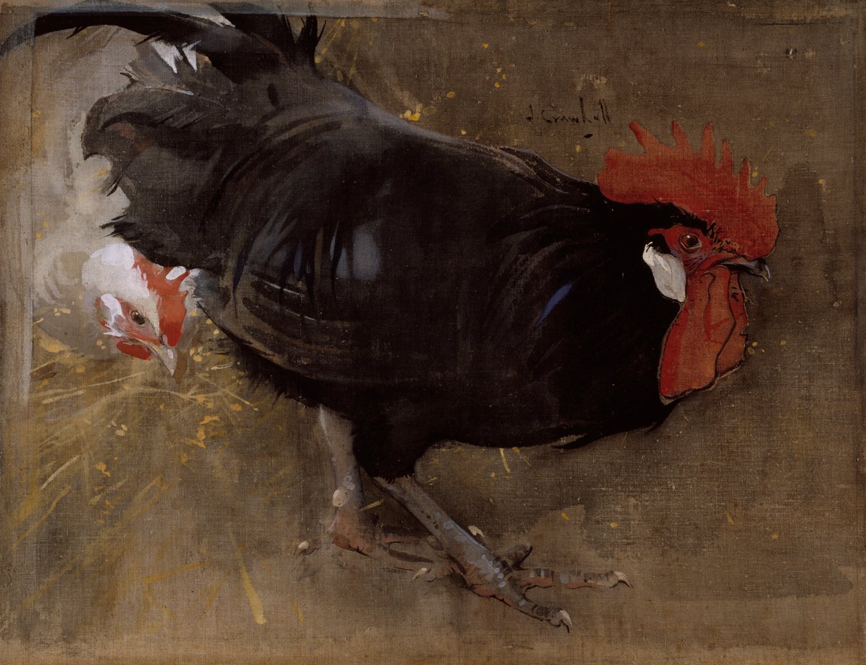Den sorte hane (gouache på linned) af Joseph Crawhall