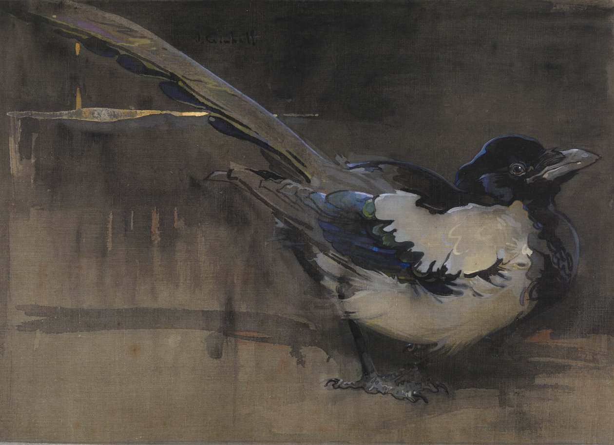 Magpie (gouache på linned) af Joseph Crawhall