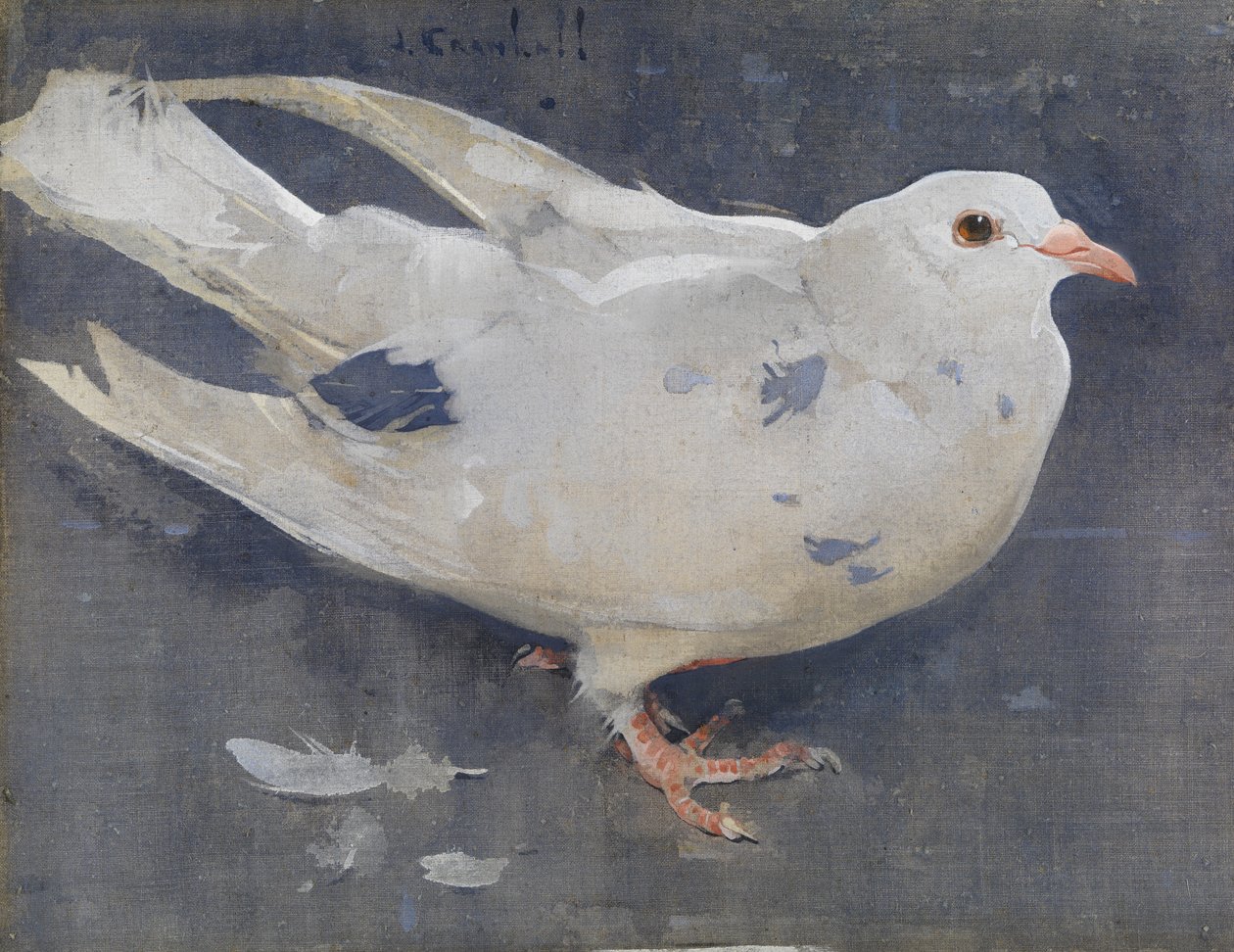 Duen (gouache på linned) af Joseph Crawhall