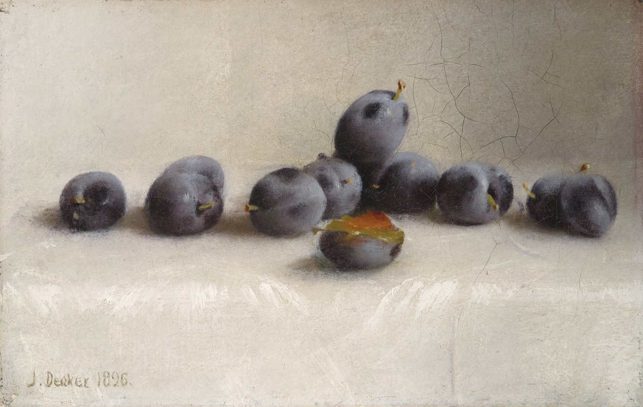Tolv blommer, 1896 af Joseph Decker