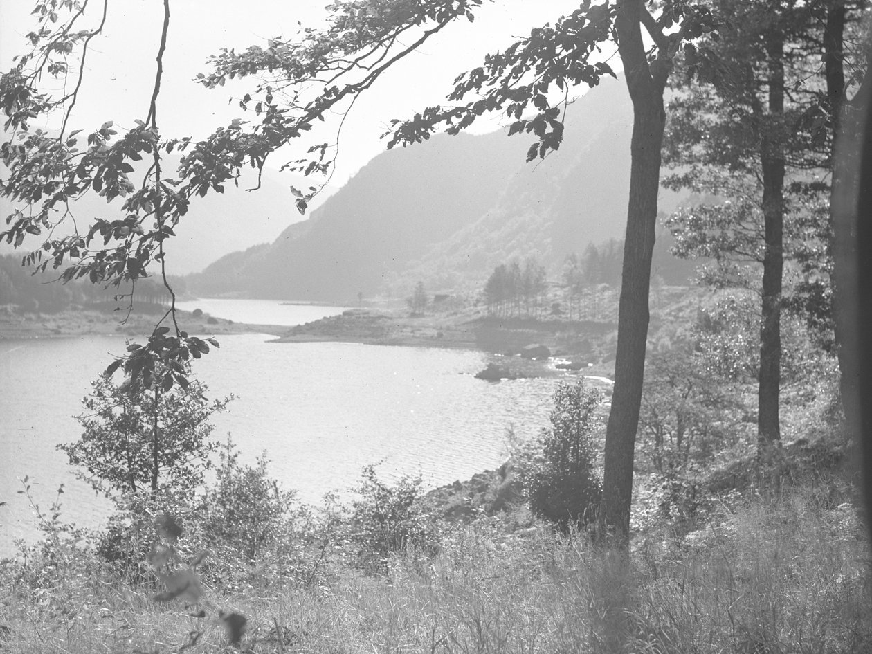Thirlmere gennem træernes grene af Joseph Hardman