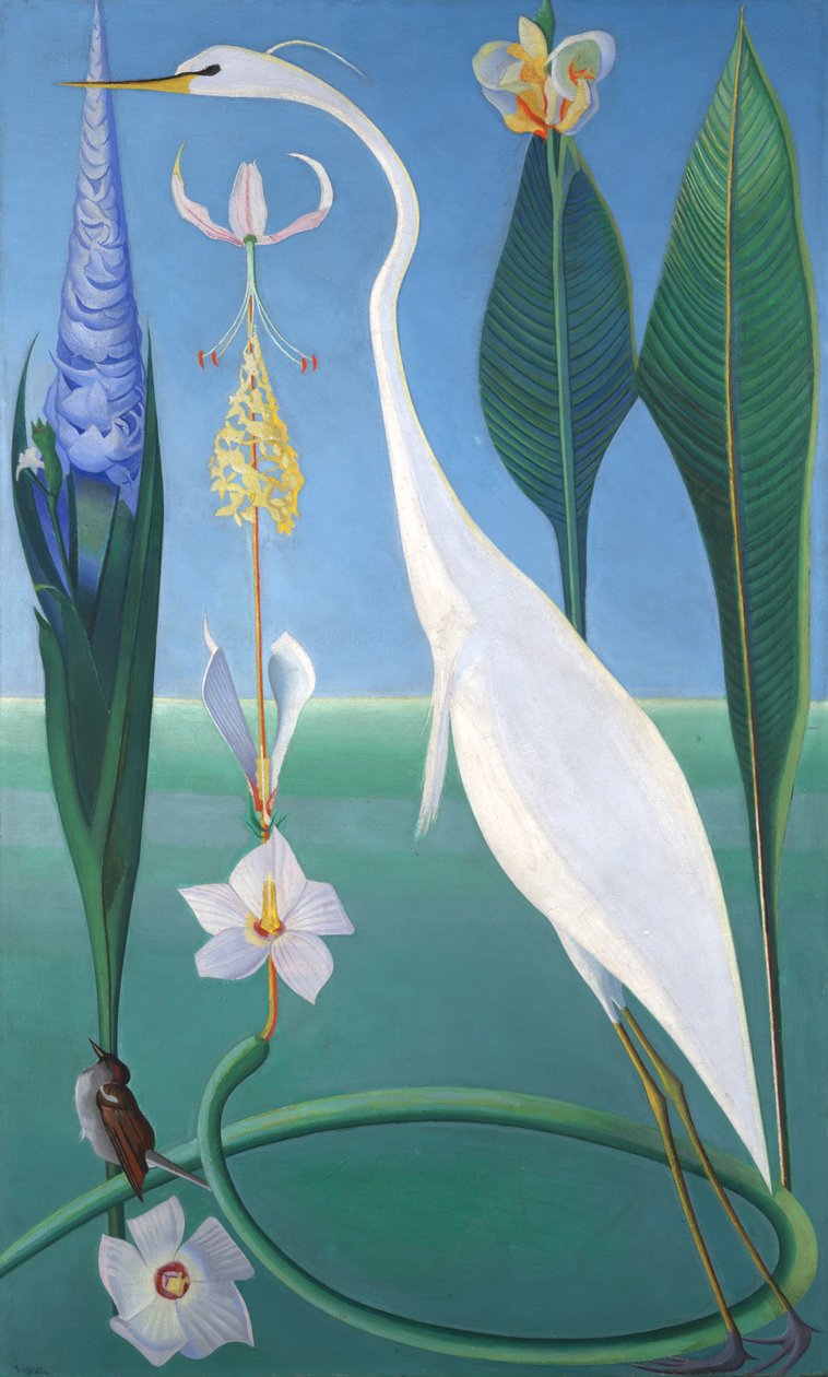 Den hvide hejre af Joseph Stella