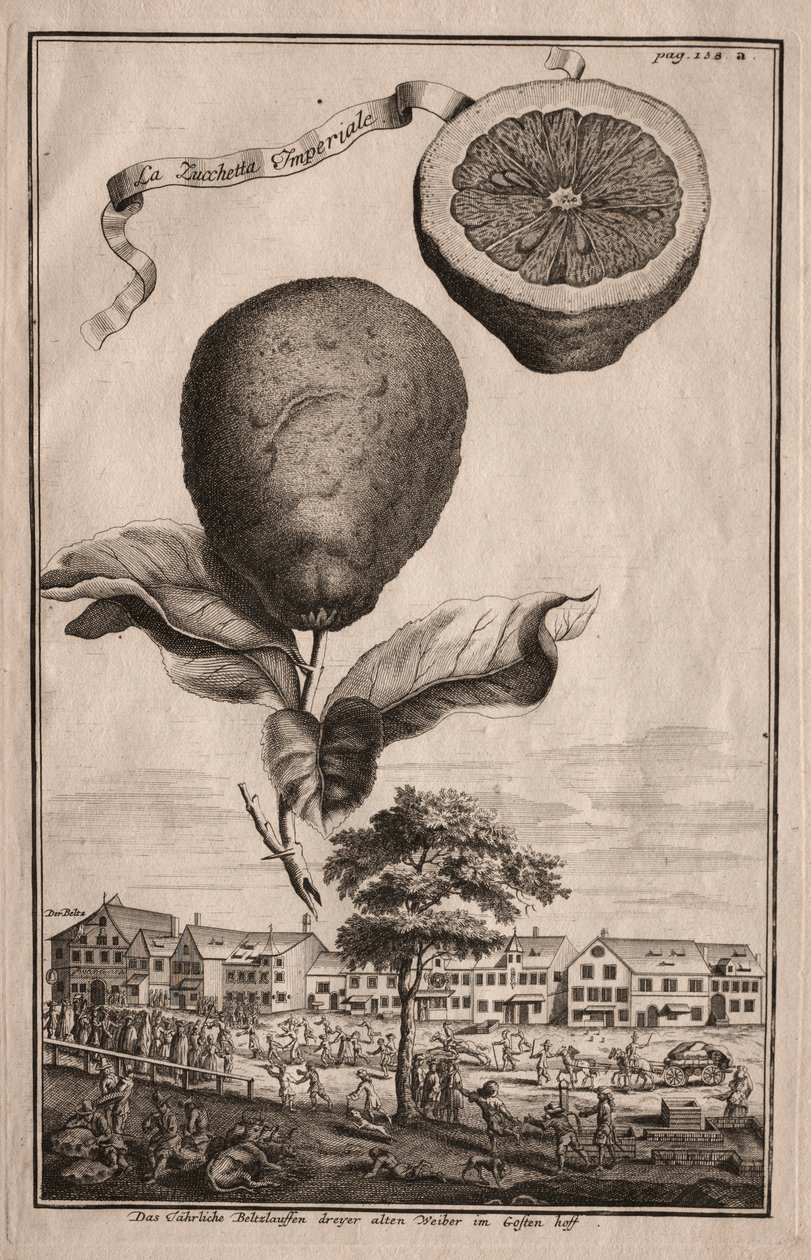 Nurnbergische Hesperides: La Luchetta Impoperiale, 1714. af Joseph de Montalegre