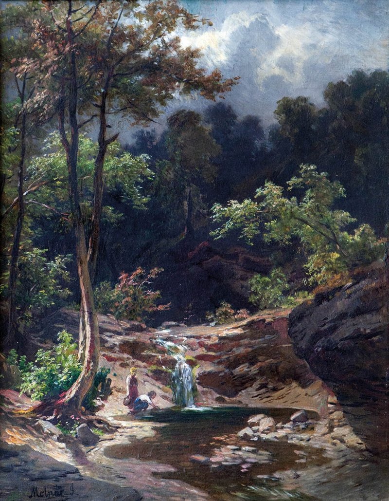 Verdai Patkaneglish: Forest Cricket af Jozsef Molnar