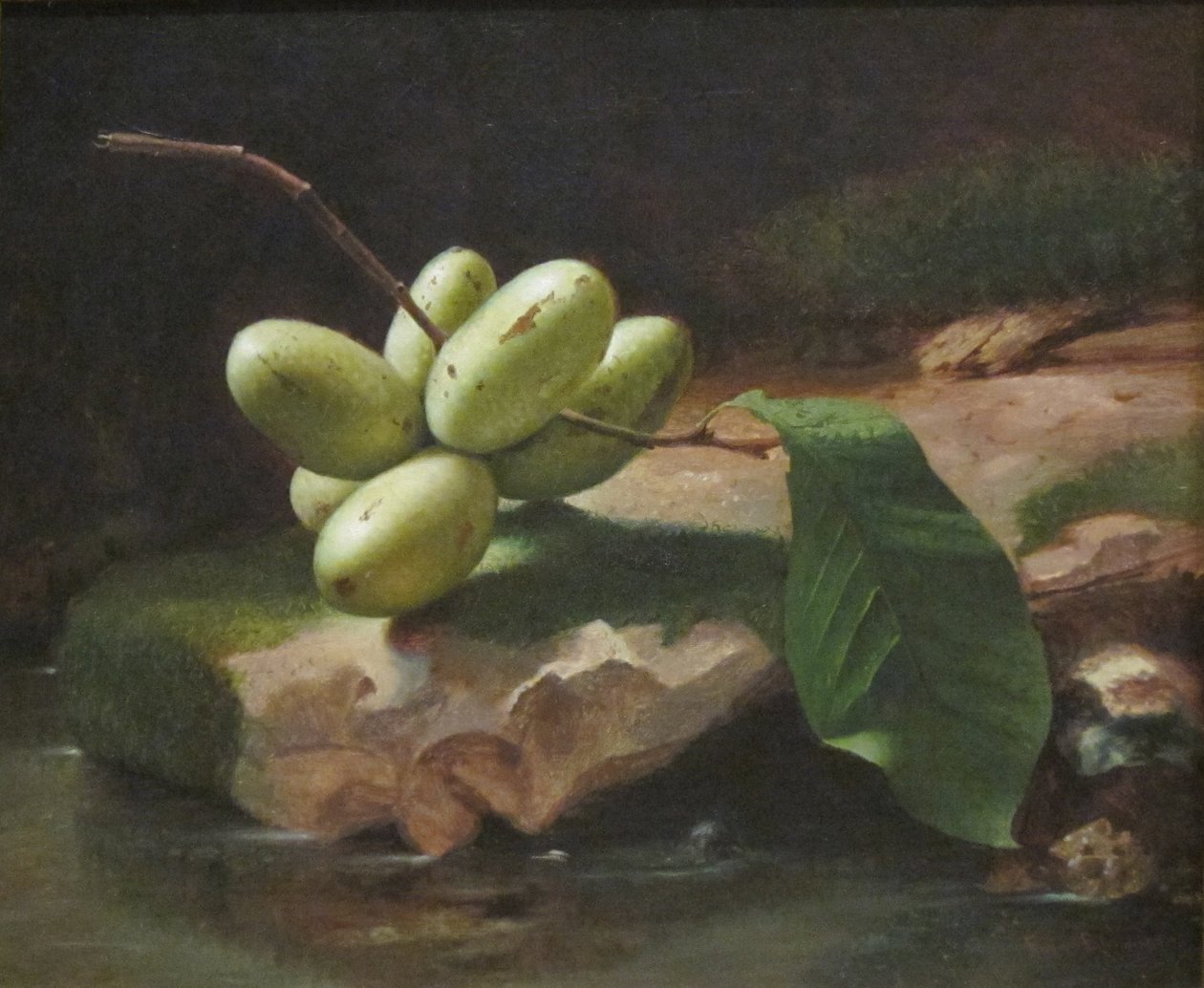 Stilleben med Paw Paws af Jr. Edward Edmondson