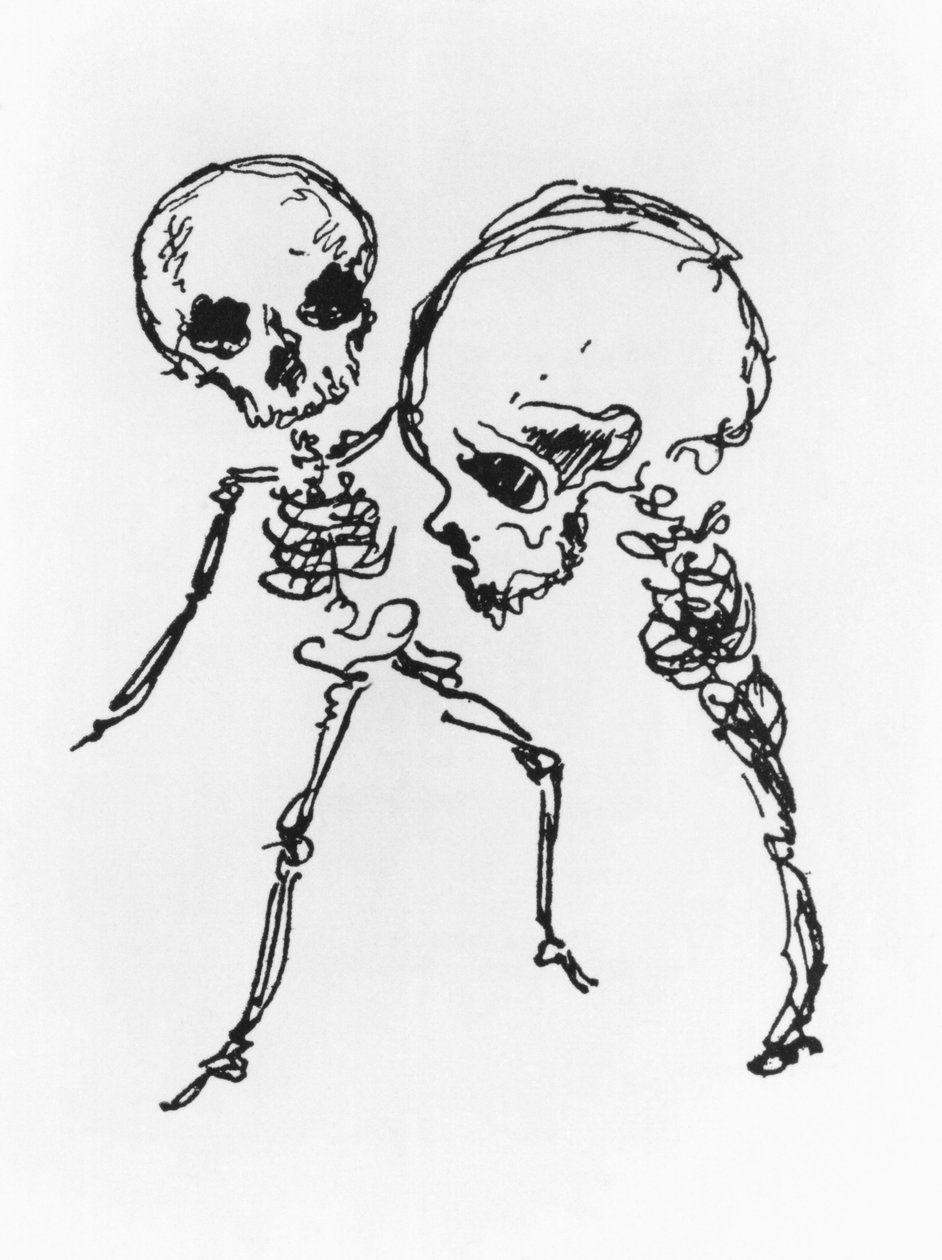 Skeletter, illustration fra 
