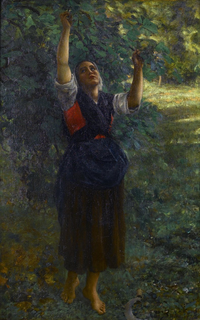 Fransk: Cueilleuse de figues af Jules Breton