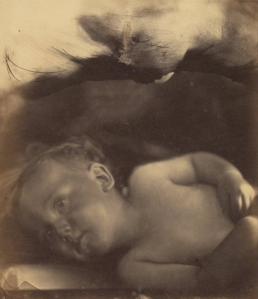 Visionen om spædbarns Samuel af Julia Margaret Cameron
