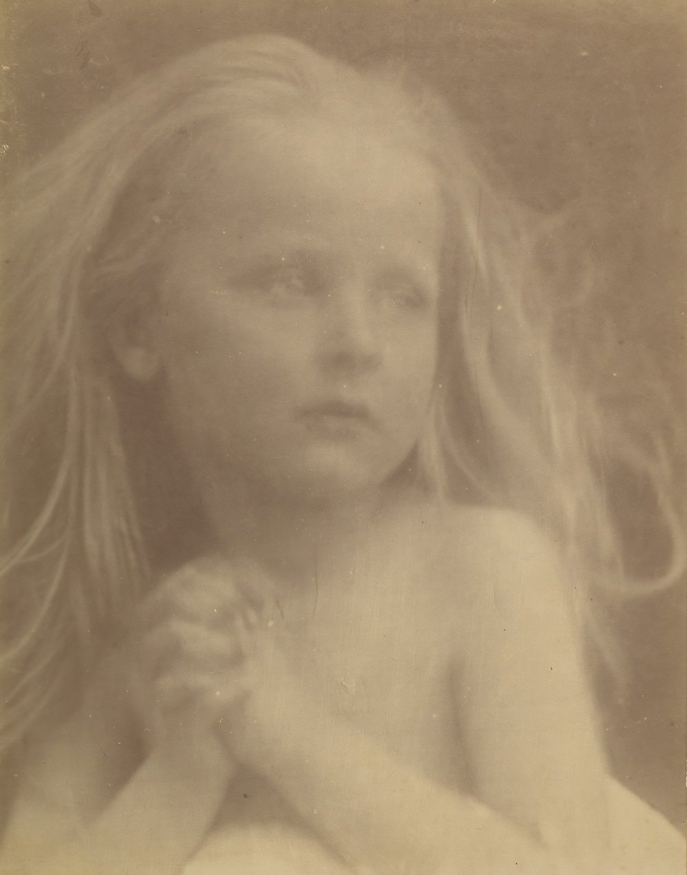 En dejlig skitse, 1873. af Julia Margaret Cameron