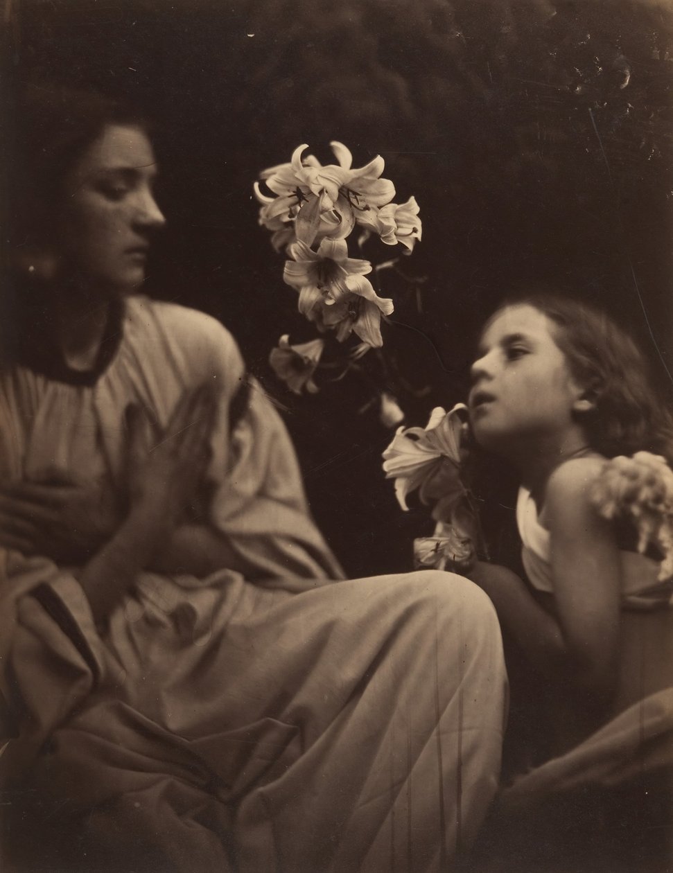 En undersøgelse, 1865-66. af Julia Margaret Cameron