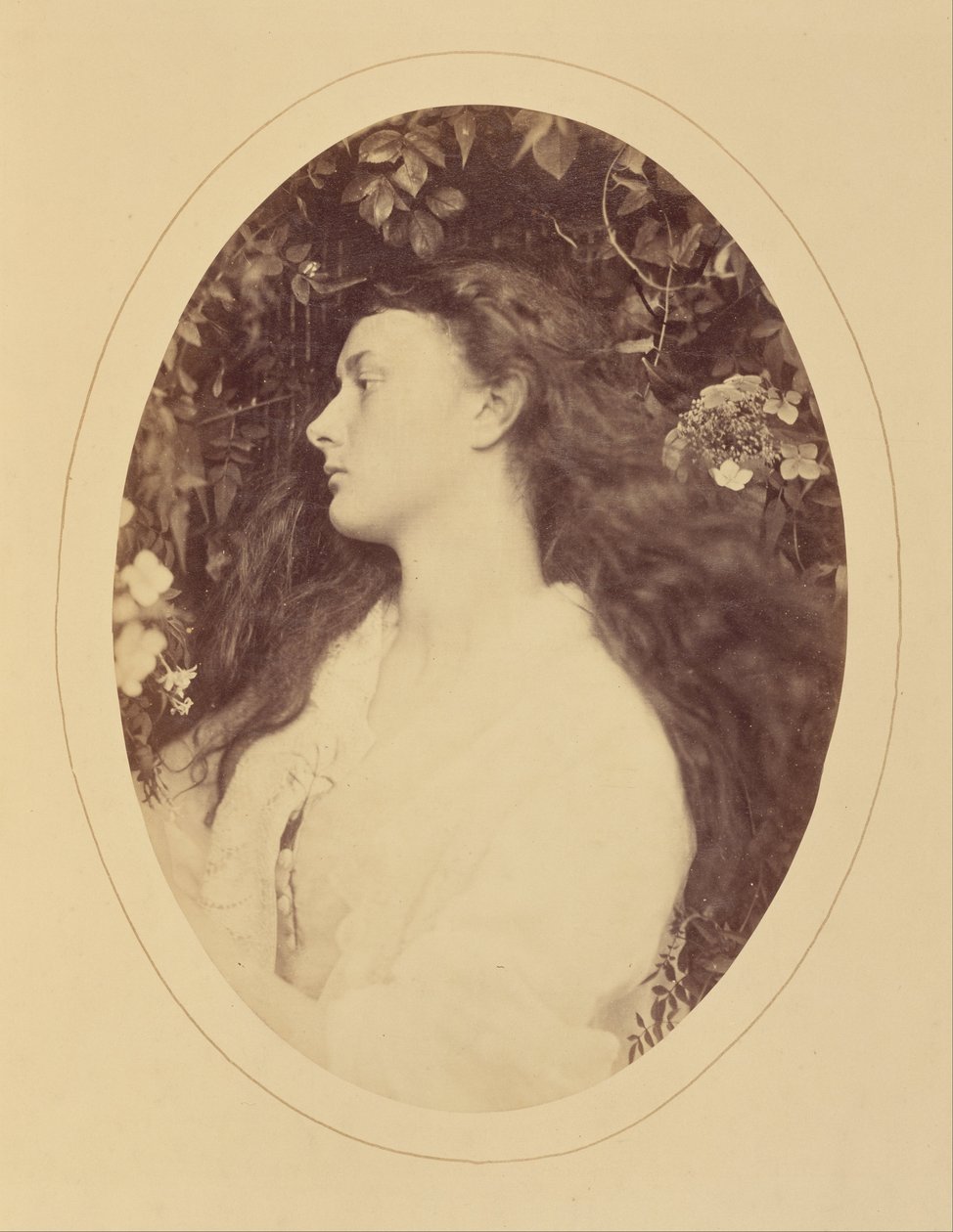 [Alethea] af Julia Margaret Cameron