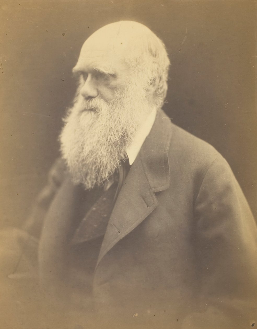 Charles Darwin, 1868. af Julia Margaret Cameron