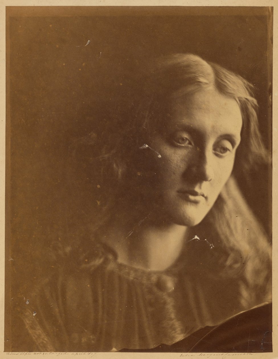 [Julia Jackson] af Julia Margaret Cameron