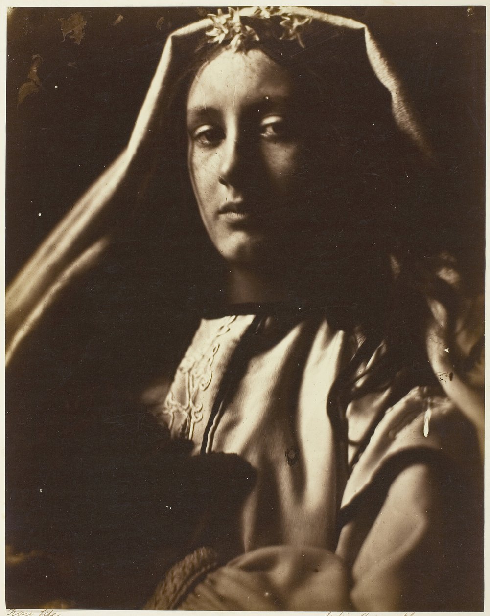The Neopolitan, 186465. af Julia Margaret Cameron