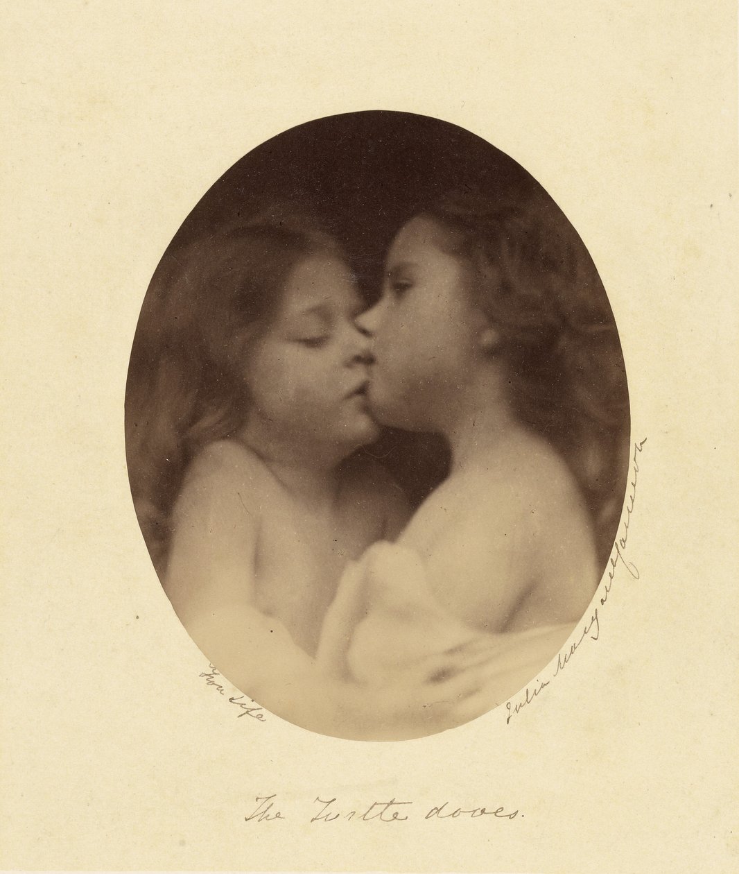 Turtelduerne af Julia Margaret Cameron