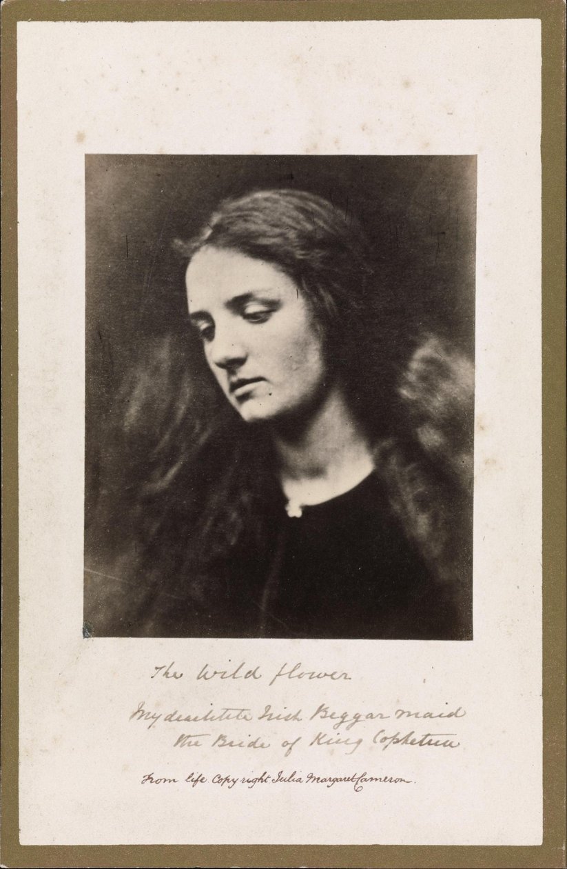 Den vilde blomst af Julia Margaret Cameron