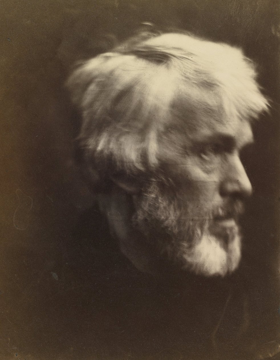 Thomas Carlyle (1795 - 1881) af Julia Margaret Cameron