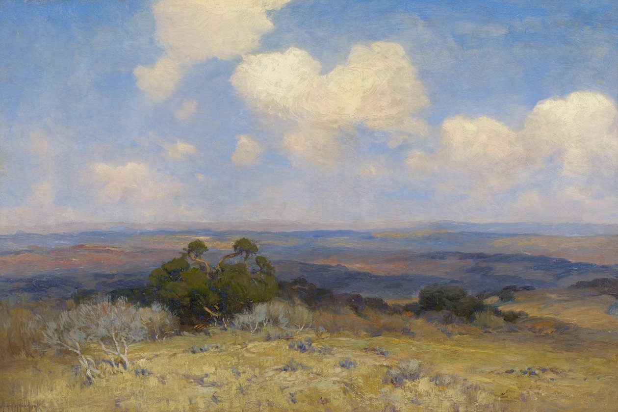 Sollys og skygge, 1910 af Julian Onderdonk