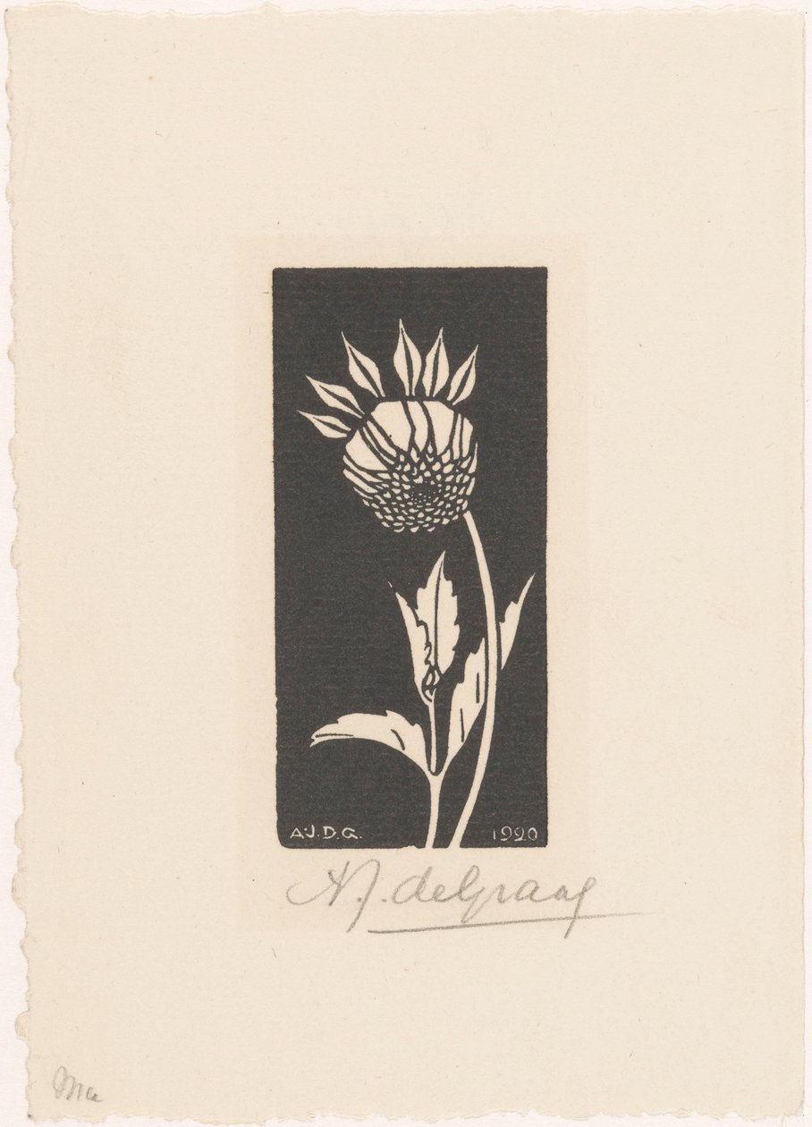 Dahlia af Julie de Graag (signed by artist)