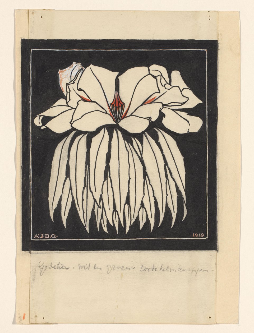 Godetia af Julie de Graag (signed by artist)