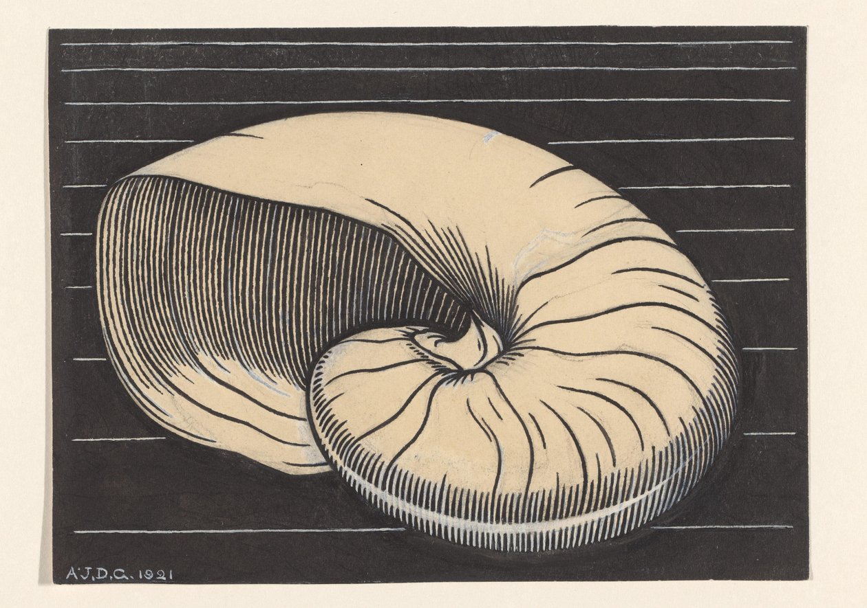 Nautilusschelp af Julie de Graag (signed by artist)