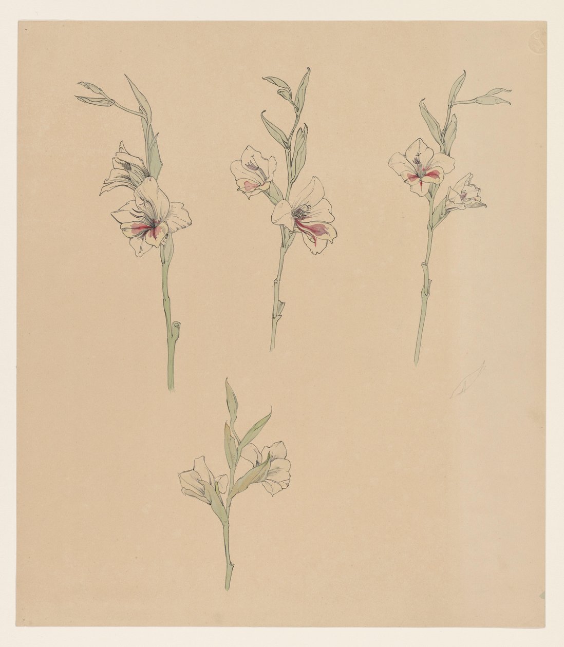 Blomsterstudier af Julie de Graag